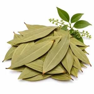 তেজপাতা – Bay Leaves